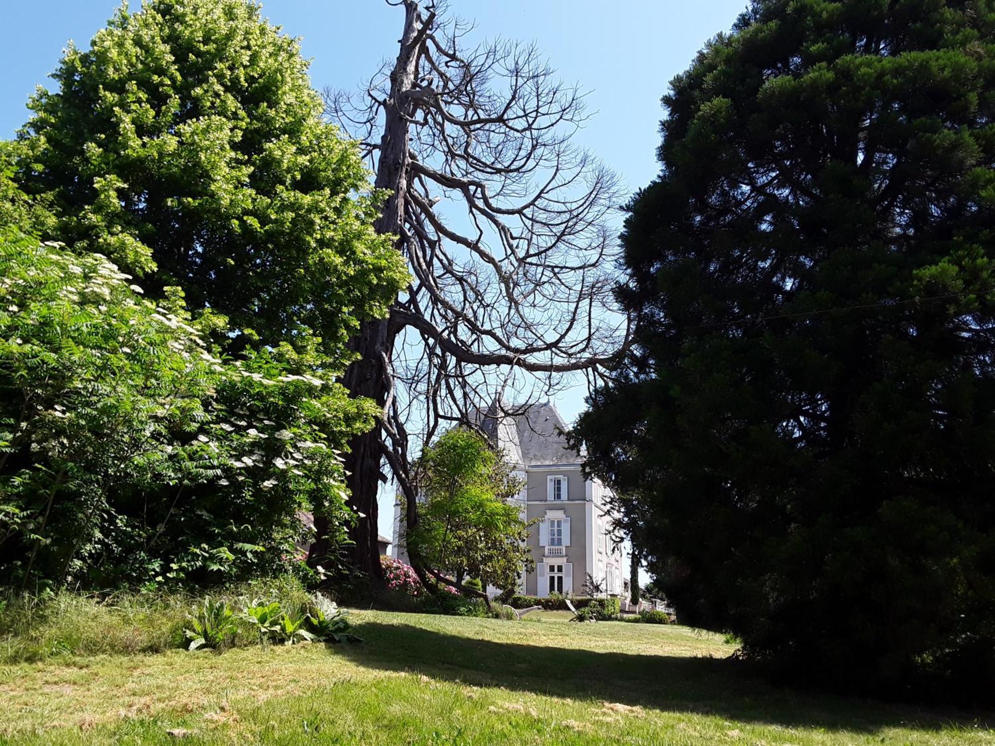 Chateau De Prety - Maison D'Hotes Bed and Breakfast Εξωτερικό φωτογραφία